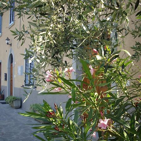 Casa Girella Leilighet Terontola Eksteriør bilde